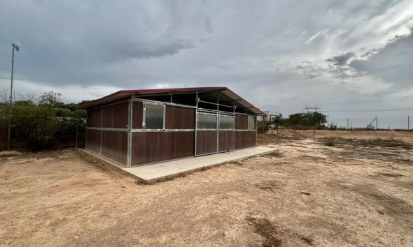 Resale - Farm Estate / Country Property - San Fulgencio - San Fulgencio - Country