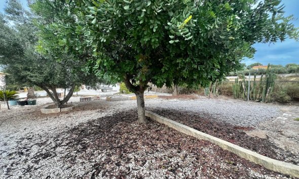 Resale - Farm Estate / Country Property - San Fulgencio - San Fulgencio - Country