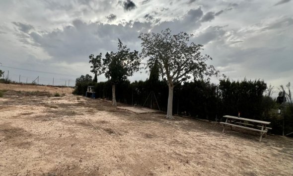 Resale - Farm Estate / Country Property - San Fulgencio - San Fulgencio - Country