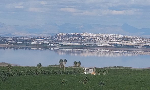 Resale - Apartament / Duplex - Torrevieja - Los Balcones