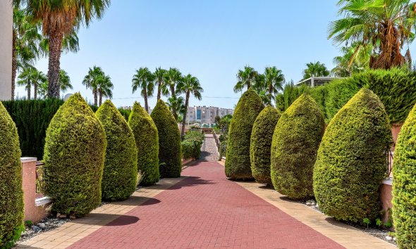 Resale - Apartament / Duplex - Orihuela Costa - Playa Flamenca