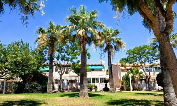 Reventa - Bungalow - Orihuela Costa - La Regia