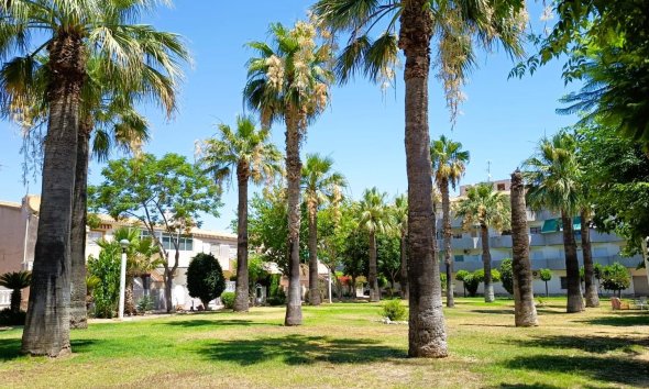 Reventa - Bungalow - Orihuela Costa - La Regia