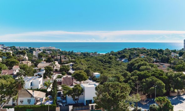 Resale - Apartament / Duplex - Dehesa de campoamor - Campoamor