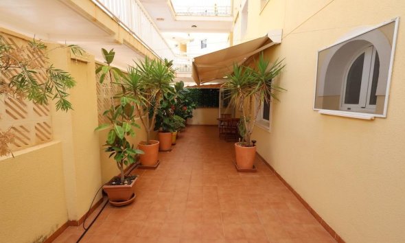 Reventa - Apartamento / Dúplex - Orihuela Costa - Campoamor