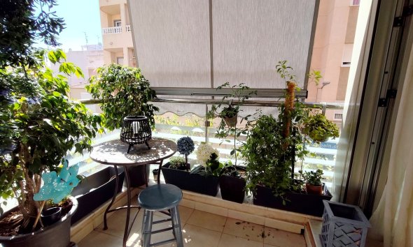 Resale - Apartament / Duplex - Torrevieja