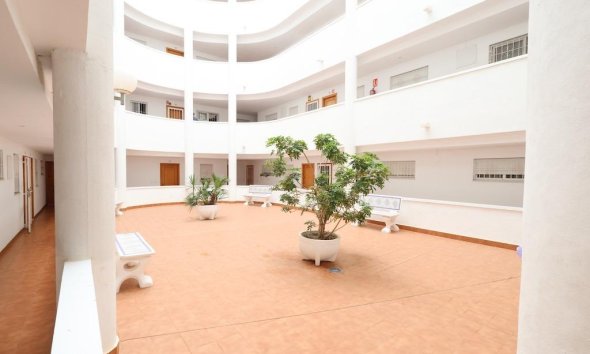 Rynek Wtórny - Apartament / Duplex - Torrevieja - Parque de Las Naciones