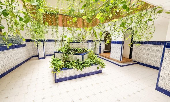 Rynek Wtórny - Apartament / Duplex - Torrevieja - Playa del Cura