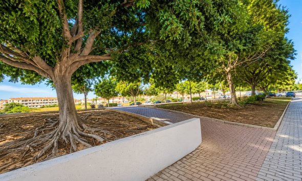 Rynek Wtórny - Apartament / Duplex - Torrevieja