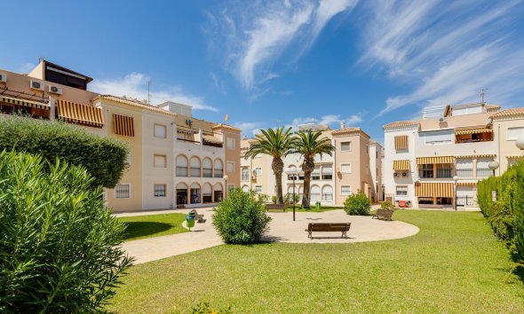 Rynek Wtórny - Bungalow / Domek parterowy - Torrevieja - Playa de los Naufragos