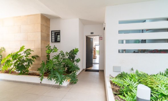Rynek Wtórny - Apartament / Duplex - Orihuela Costa - Playa Flamenca