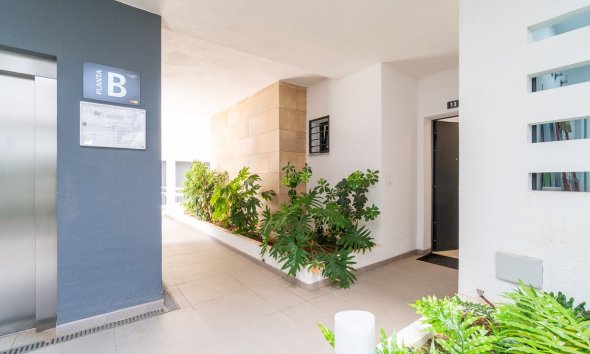 Rynek Wtórny - Apartament / Duplex - Orihuela Costa - Playa Flamenca