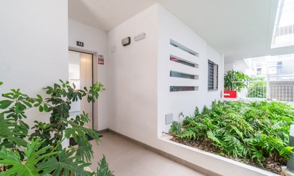 Rynek Wtórny - Apartament / Duplex - Orihuela Costa - Playa Flamenca