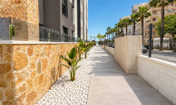 Rynek Wtórny - Apartament / Duplex - Guardamar del Segura