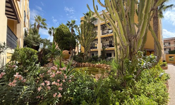 Reventa - Apartamento / Dúplex - Torrevieja - Playa de los Locos