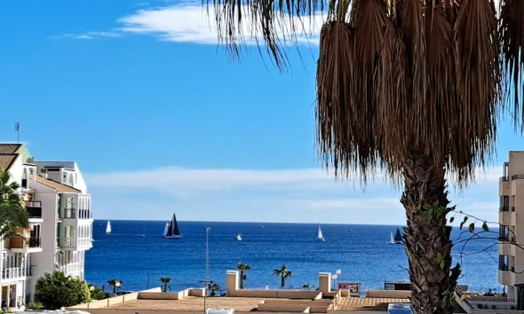 Reventa - Apartamento / Dúplex - Torrevieja - La Veleta