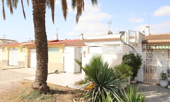 Rynek Wtórny - Bungalow / Domek parterowy - Torrevieja - La Siesta