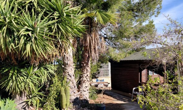 Resale - Farm Estate / Country Property - Orihuela
