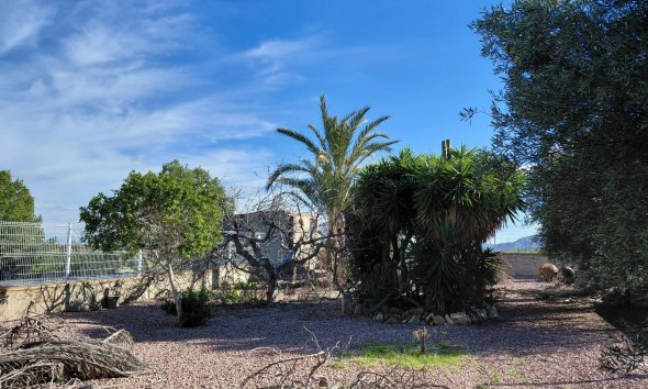 Resale - Farm Estate / Country Property - Orihuela
