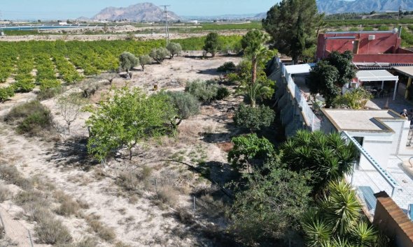 Resale - Farm Estate / Country Property - Orihuela