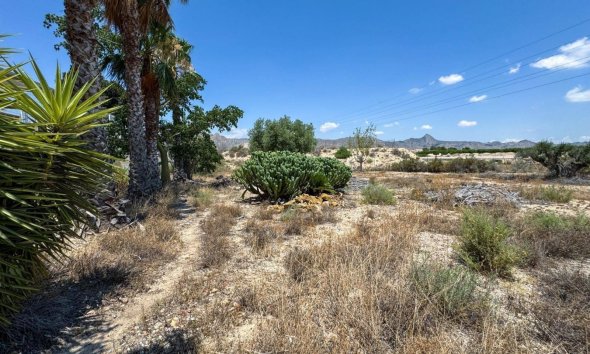 Resale - Farm Estate / Country Property - Orihuela
