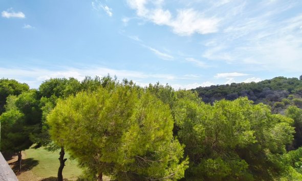 Resale - Apartment / Duplex - Orihuela Costa - Las Ramblas Golf