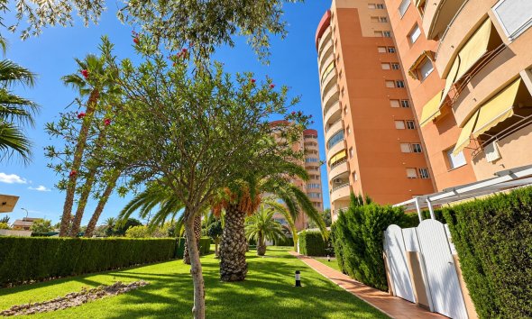 Resale - Apartment / Duplex - Orihuela Costa - Campoamor