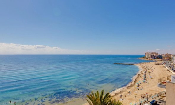 Resale - Apartment / Duplex - Torrevieja