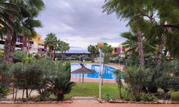 Resale - Apartment / Duplex - Orihuela Costa - Punta Prima