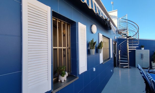Resale - Apartment / Duplex - Torrevieja
