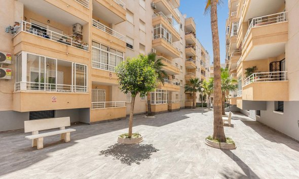 Rynek Wtórny - Apartament / Duplex - Torrevieja - Estacion de autobuses