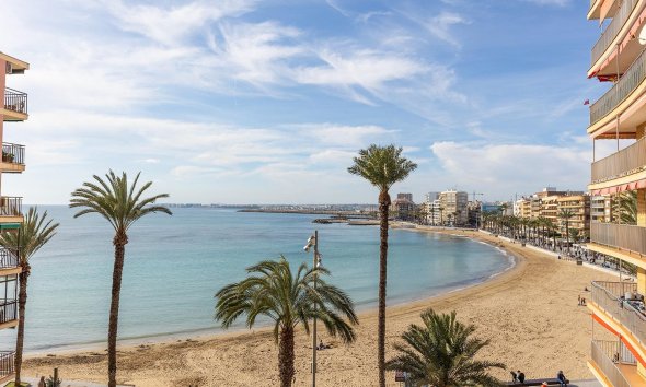 Rynek Wtórny - Apartament / Duplex - Torrevieja - Estacion de autobuses