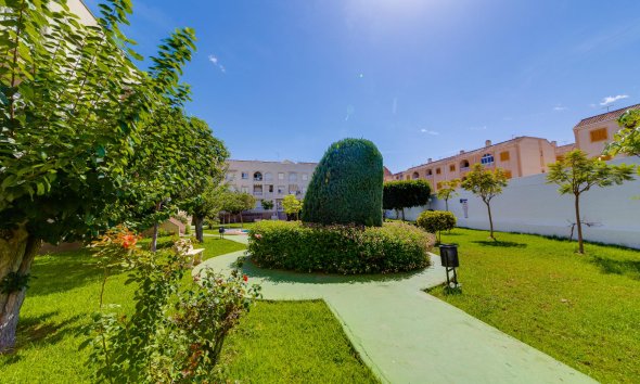 Reventa - Apartamento / Dúplex - Torrevieja - Playa del Acequión