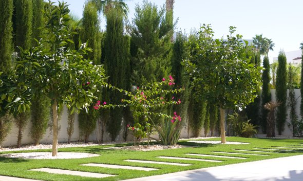 Resale - Apartment / Duplex - Ciudad Quesada - Doña Pena