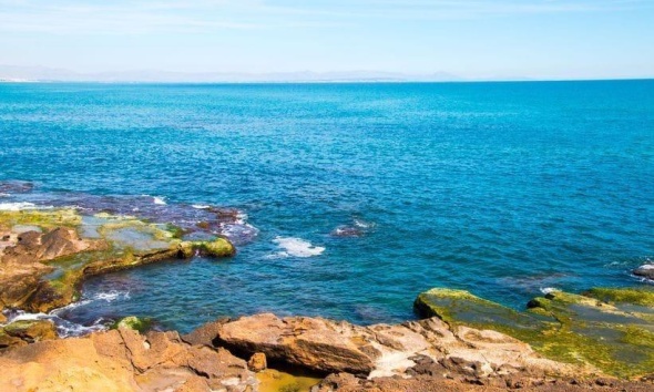 Resale - Apartment / Duplex - Torrevieja - Cabo Cervera