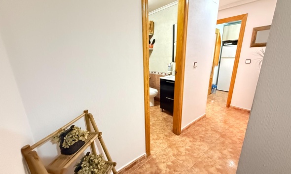 Resale - Apartment / Duplex - Torrevieja - Estacion de autobuses
