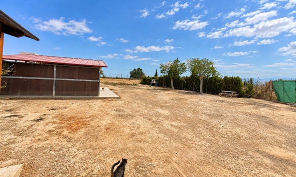Resale - Farm Estate / Country Property - San Fulgencio - San Fulgencio - Country