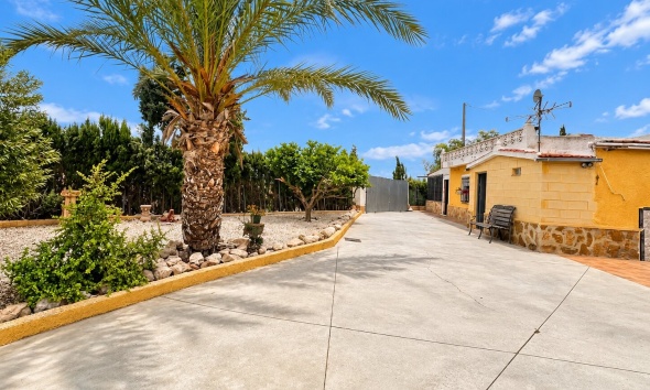 Resale - Farm Estate / Country Property - San Fulgencio - San Fulgencio - Country