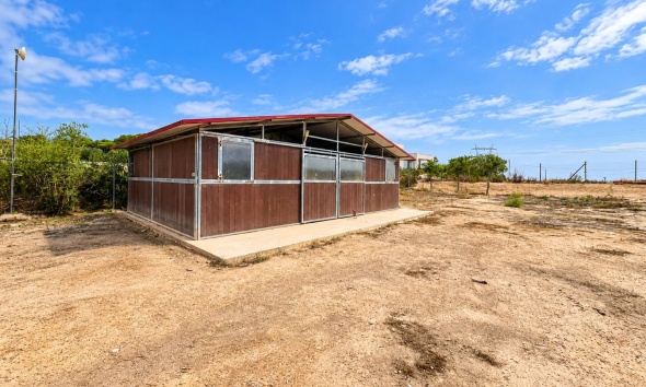 Resale - Farm Estate / Country Property - San Fulgencio - San Fulgencio - Country