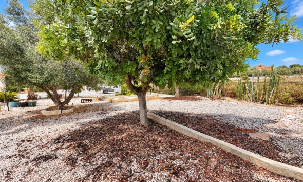 Resale - Farm Estate / Country Property - San Fulgencio - San Fulgencio - Country