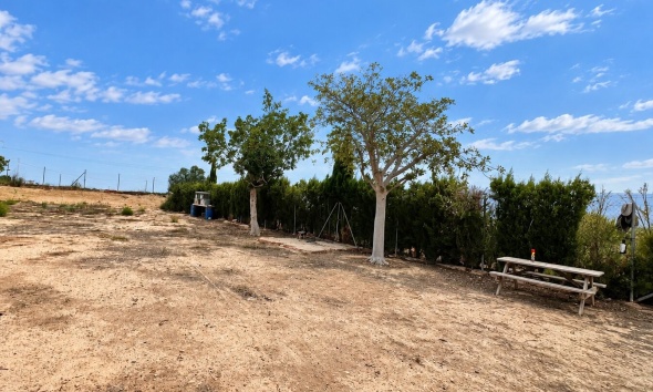 Resale - Farm Estate / Country Property - San Fulgencio - San Fulgencio - Country