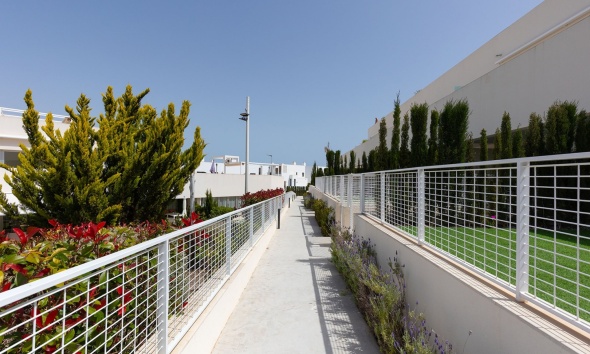 Resale - Apartment / Duplex - Torrevieja - Los Balcones