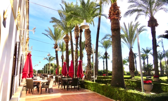 Resale - Apartment / Duplex - Sucina - Hacienda Riquelme Golf