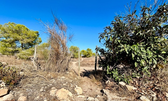 Reventa - Adosado - Torrevieja - La Siesta