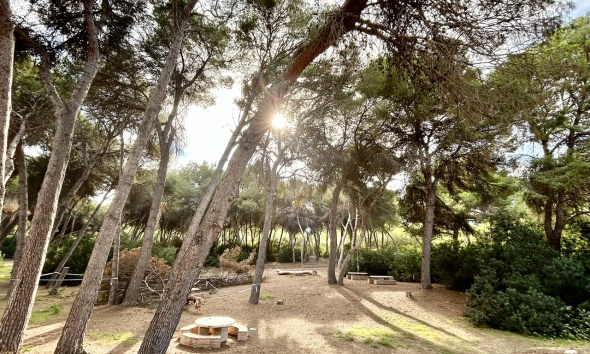 Reventa - Adosado - Orihuela Costa - Dehesa de campoamor