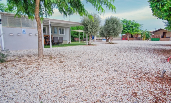 Reventa - Finca - Dolores - Dolores - Country