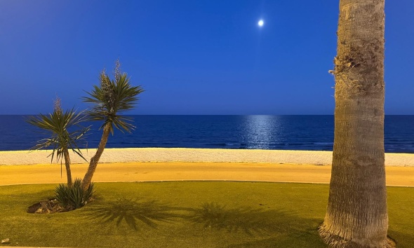 Reventa - Bungalow - Pilar de la Horadada - Mil Palmeras