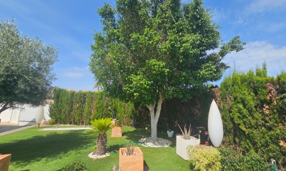 Reventa - Villa / Casa - San Fulgencio - El Oasis