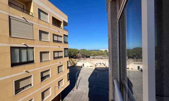 Resale - Apartment / Duplex - Guardamar del Segura - Avenida los pinos