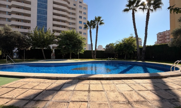 Reventa - Apartamento / Dúplex - Guardamar del Segura - SUP 7